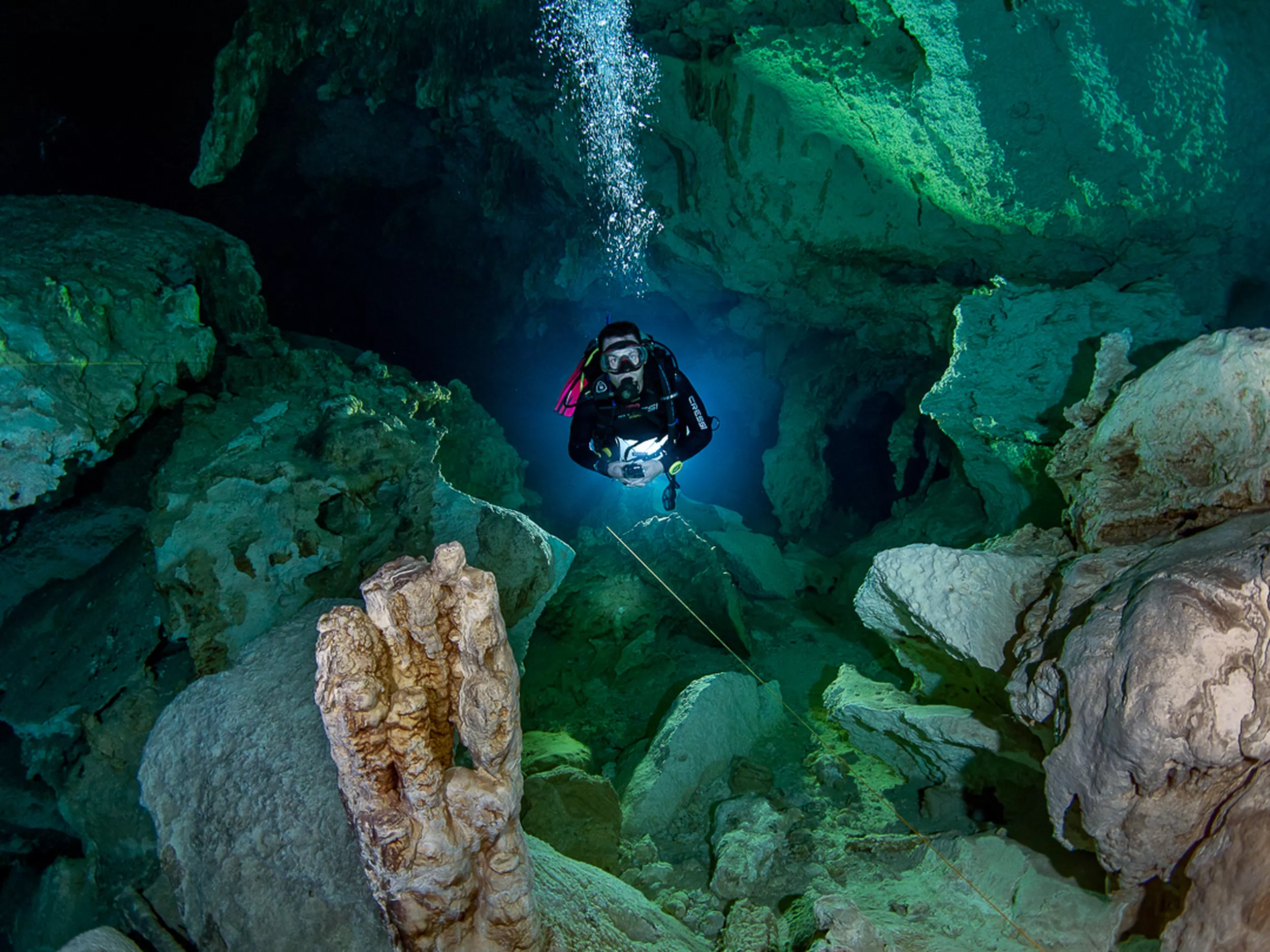 1 Dive: Cenote of your Choice