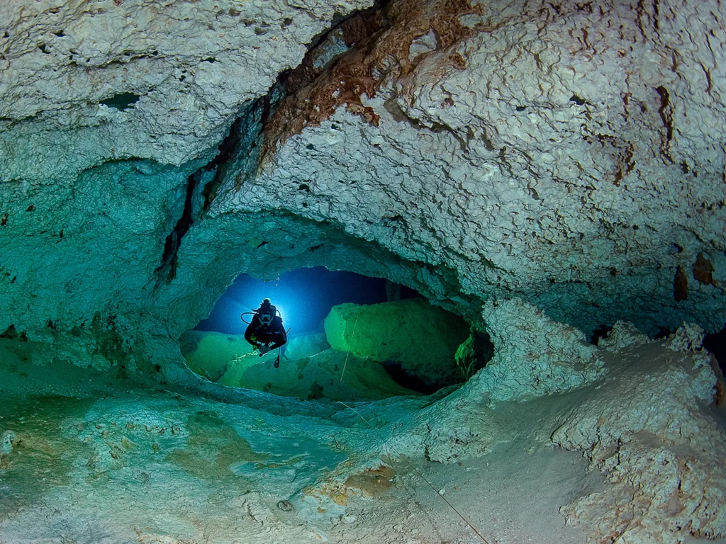 2 Dives: Dos Ojos Cenote - Tulum Diving Packages & Experiences
