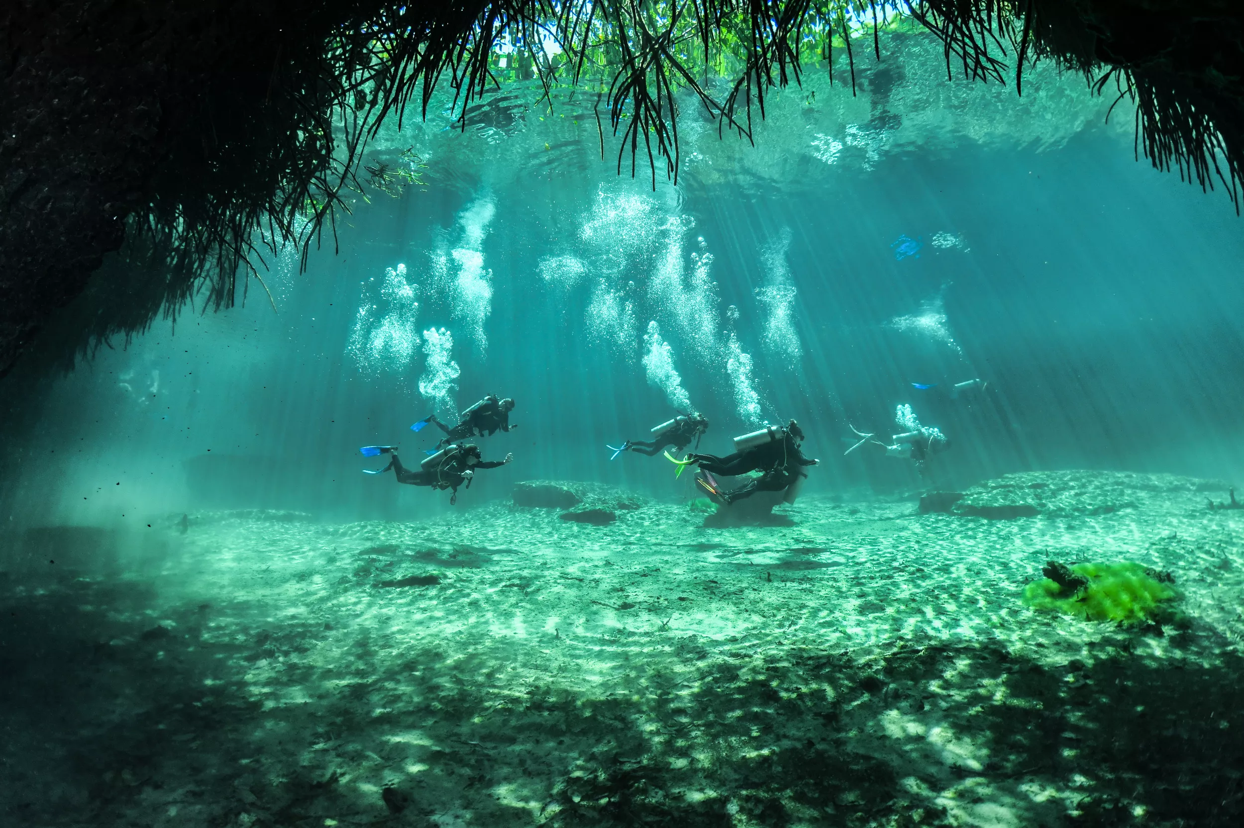 Discover Scuba Diving