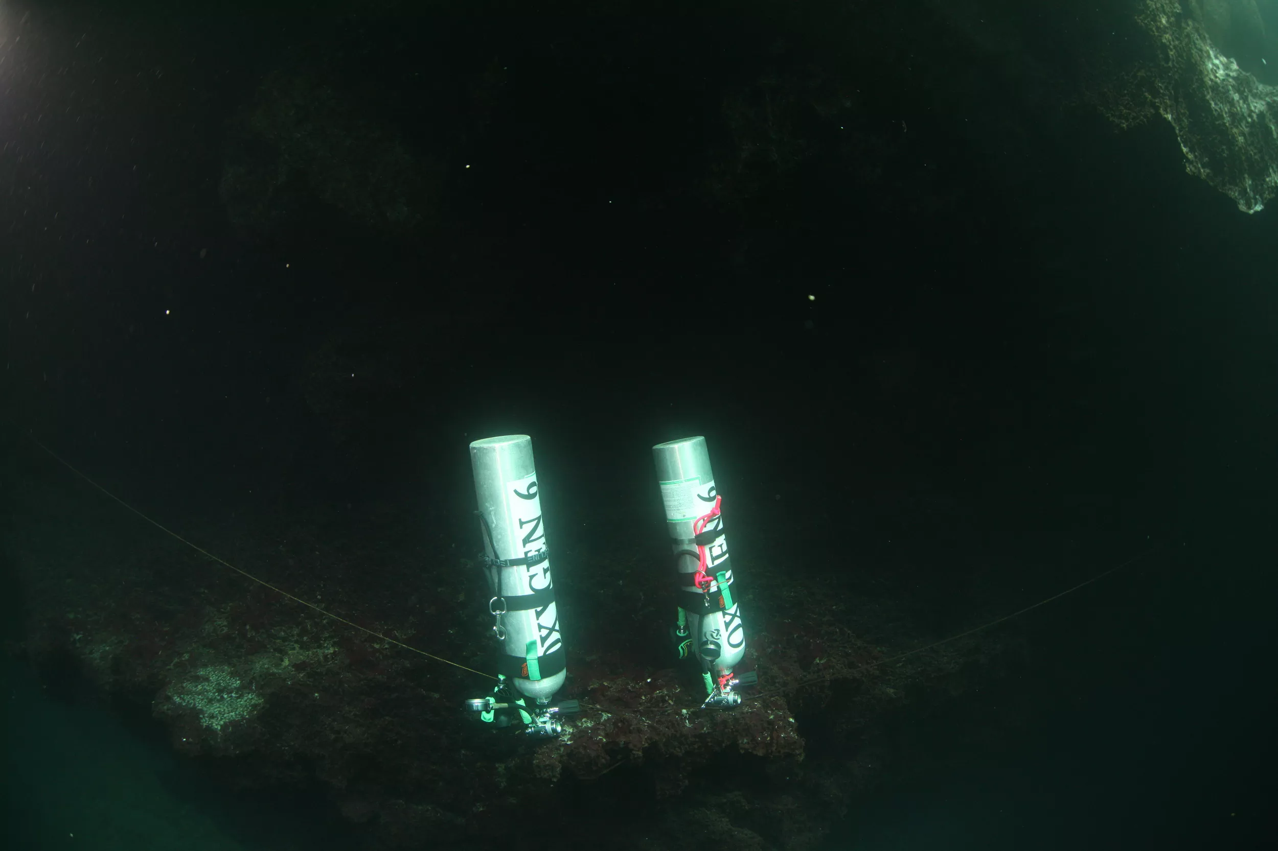 PADI Tec 50