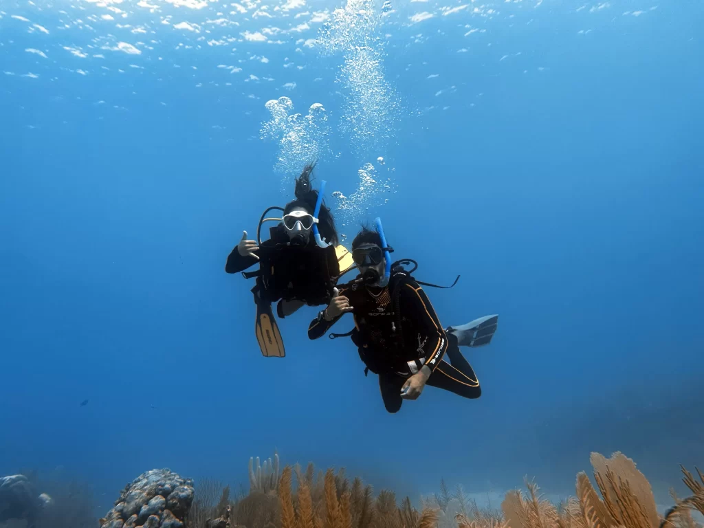 padi open water tulum