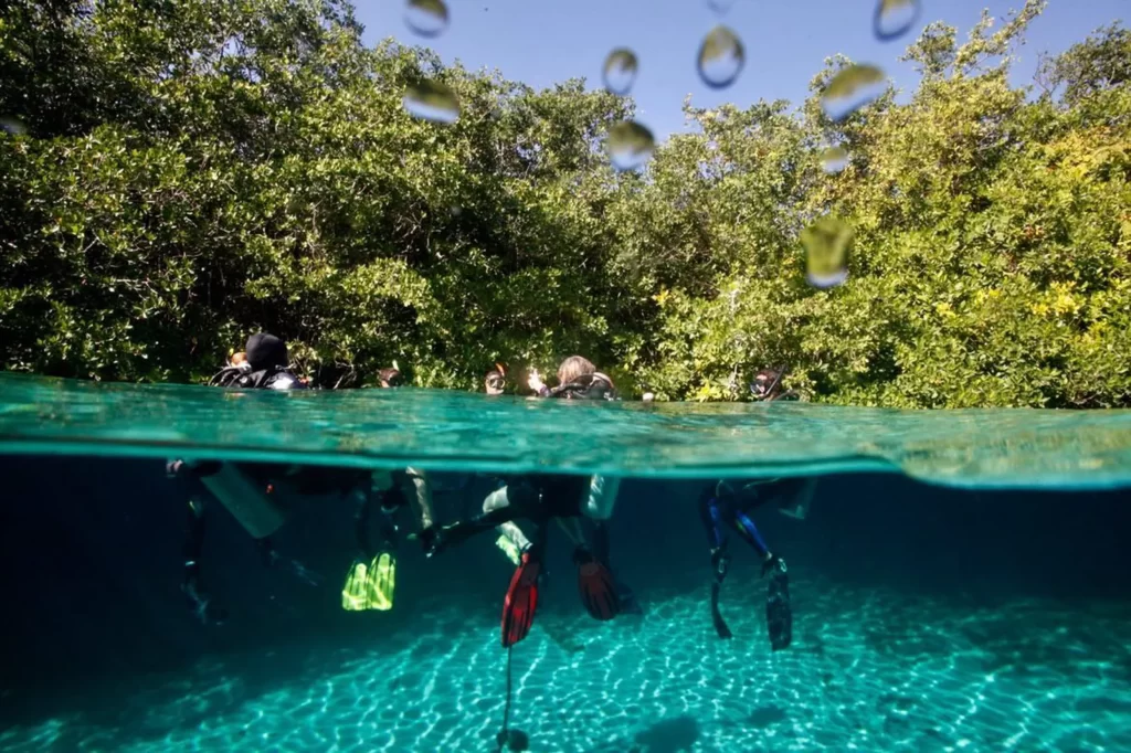 tulum diving package