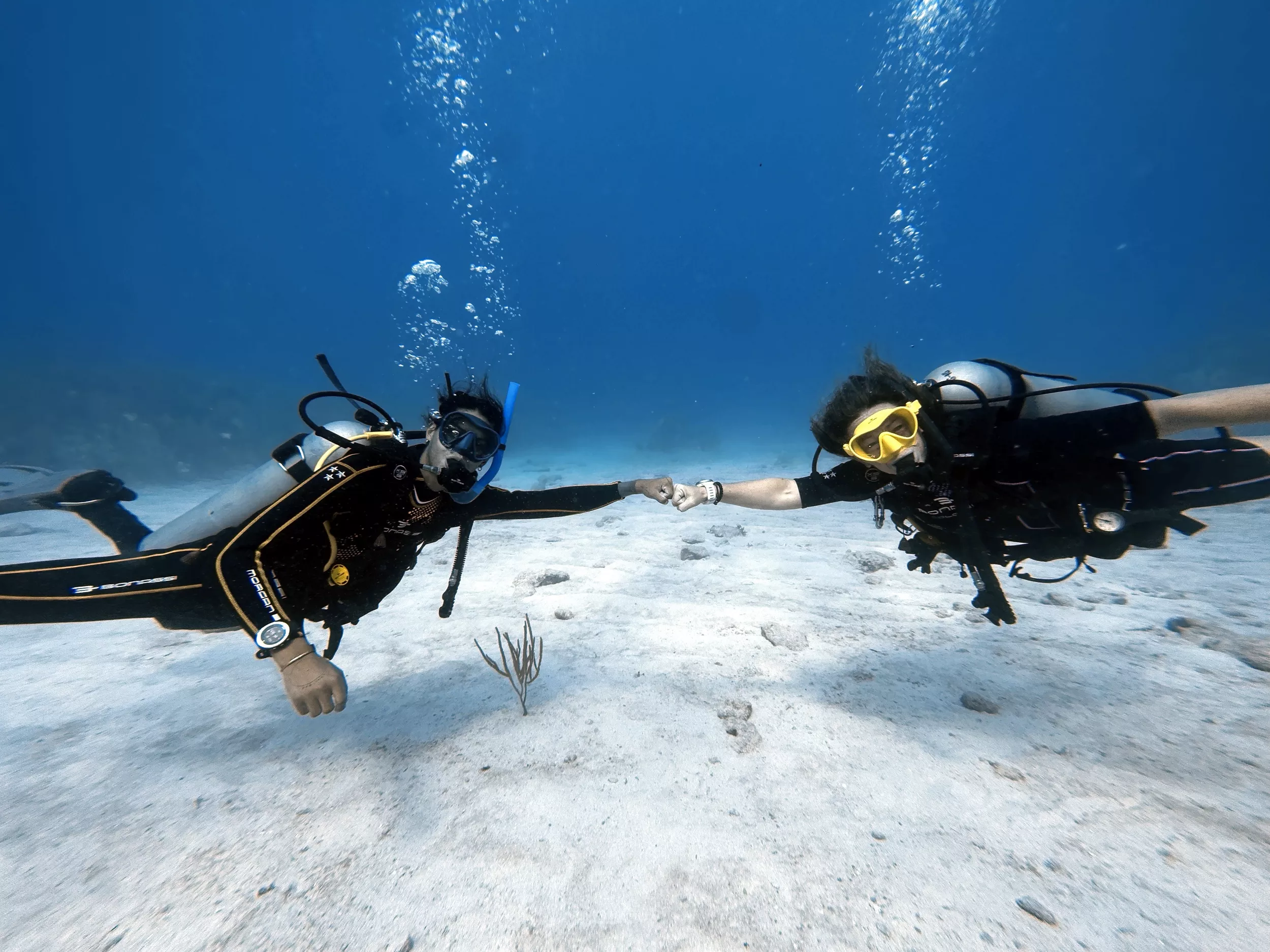 PADI Divemaster Course (1 month)