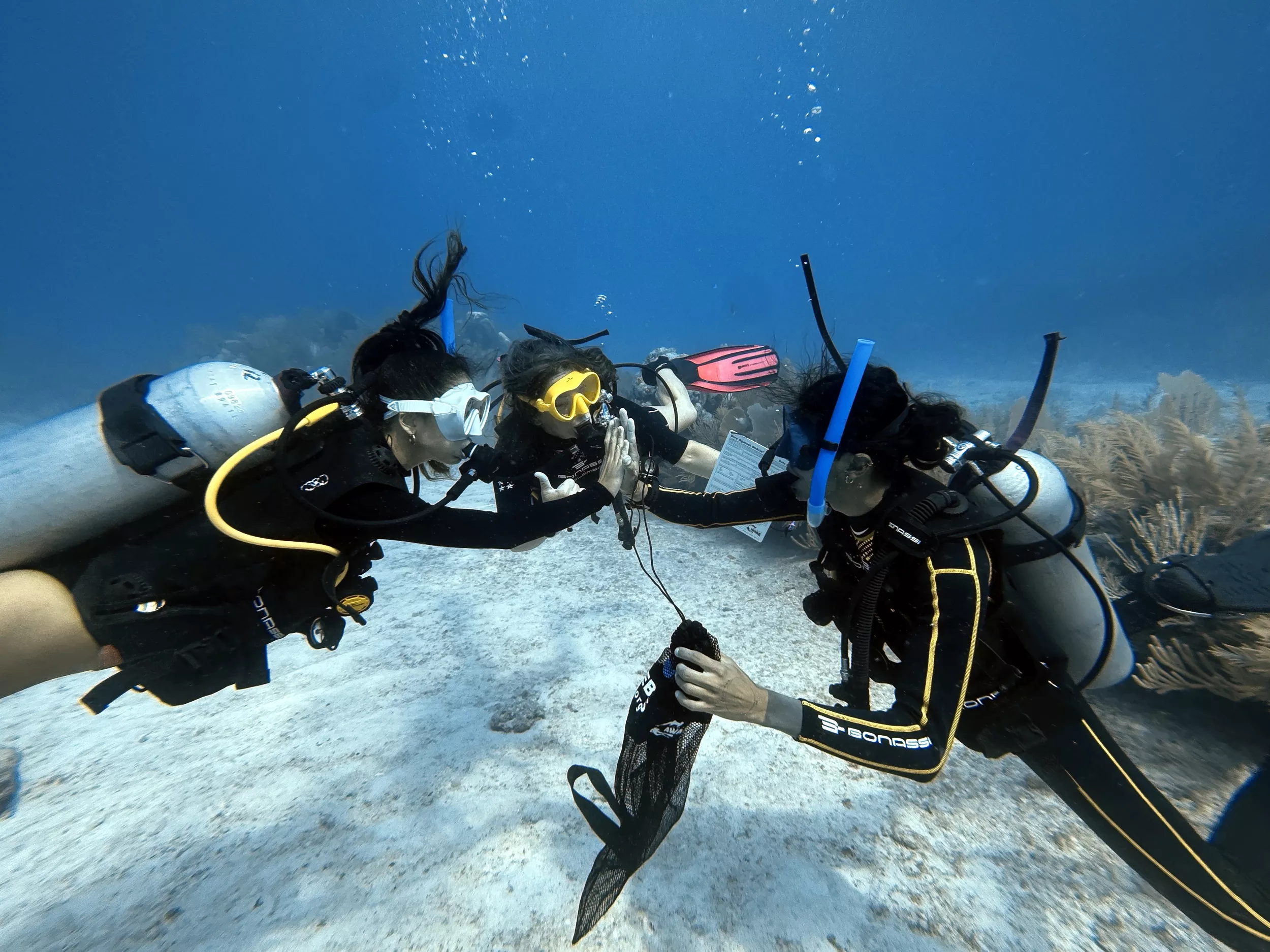 PADI MSDT Course