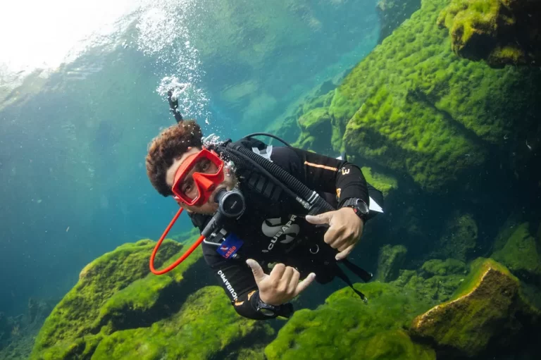 Scuba Diver PADI - Mexico Blue Dream