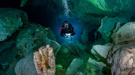 1 Dive Cenote of your Choice