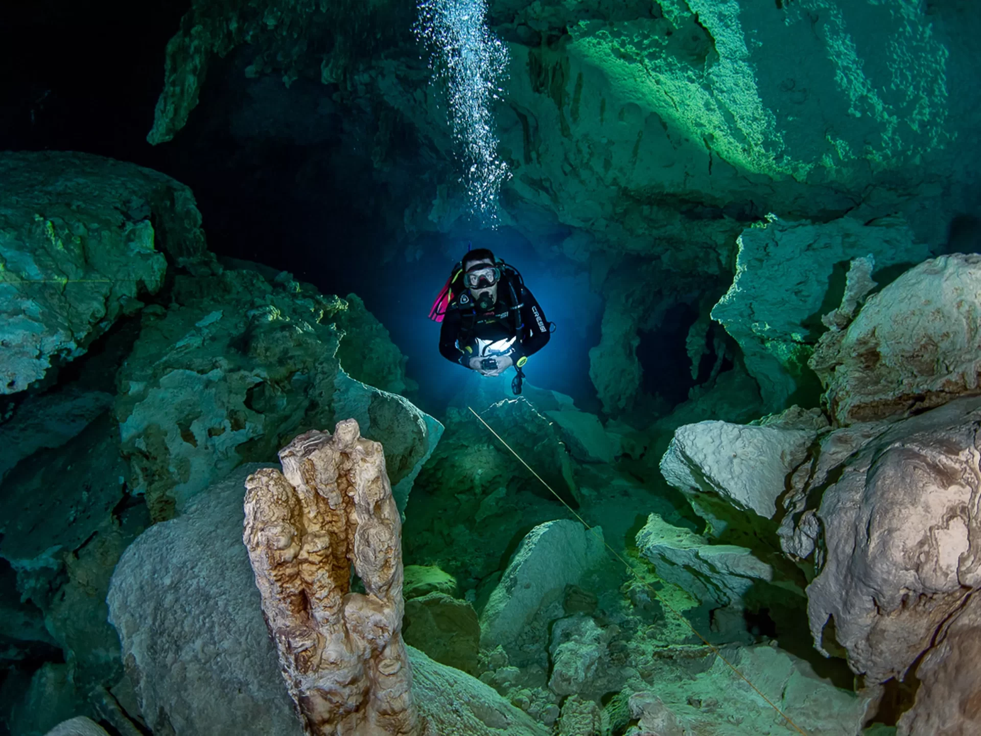 1 Dive Cenote of your Choice
