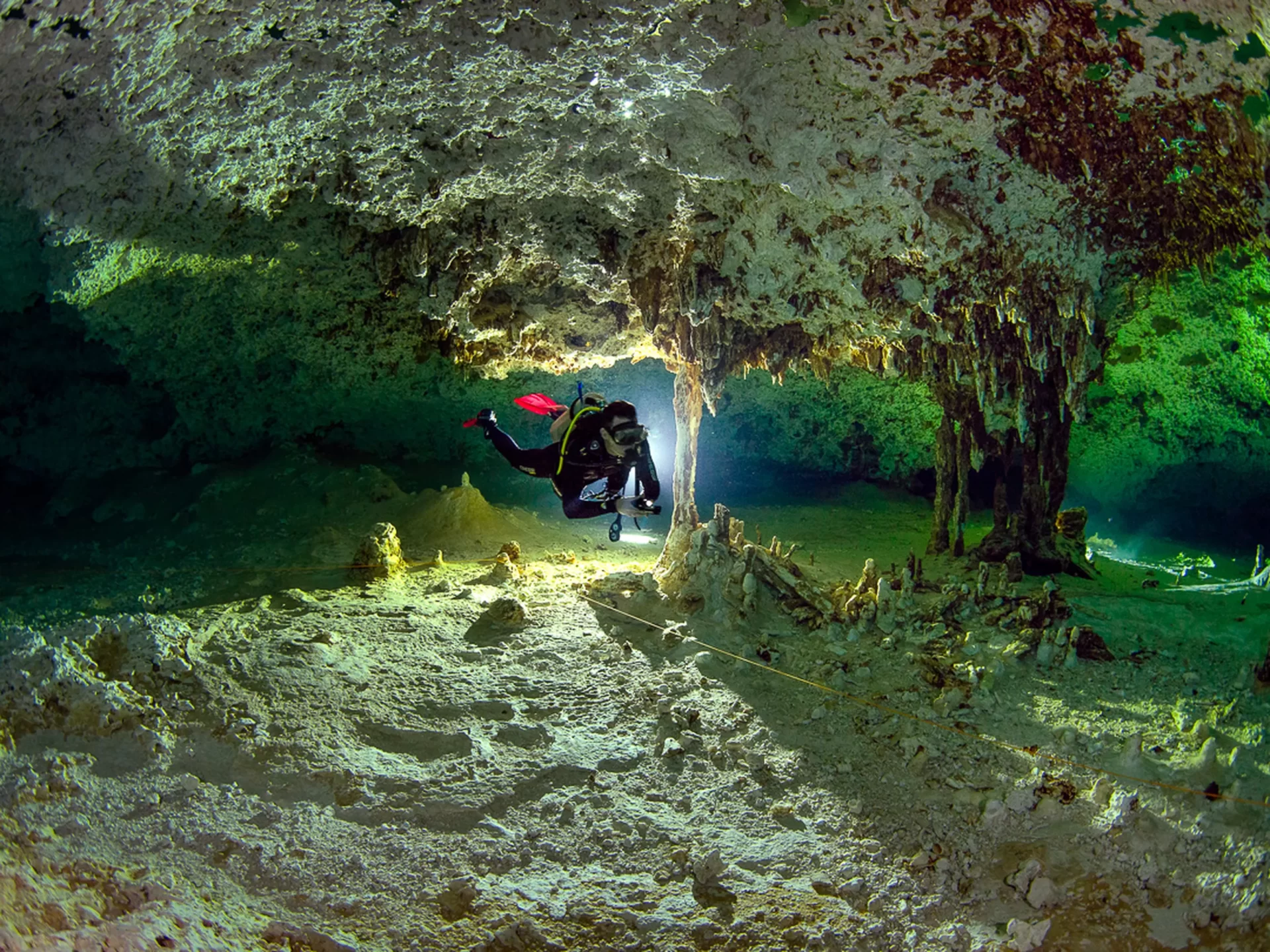 2 Dives Casa and Dos Ojos Cenote