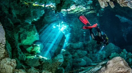 2-dives-chikin-ha-header