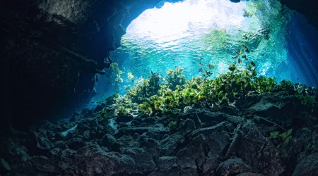 2 Dives Pit and Nicte-ha