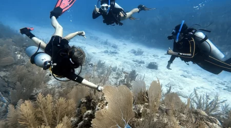 Refresher course and reef dive