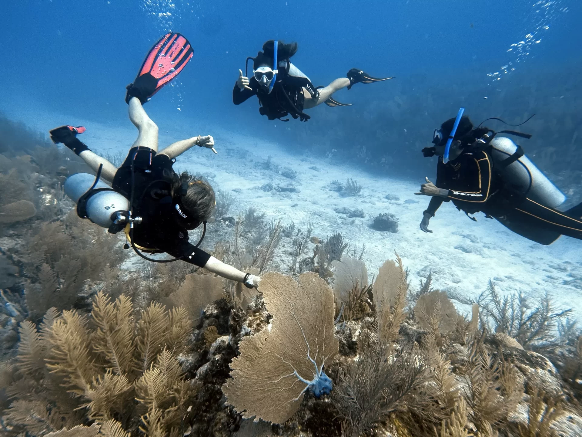 Refresher course and reef dive