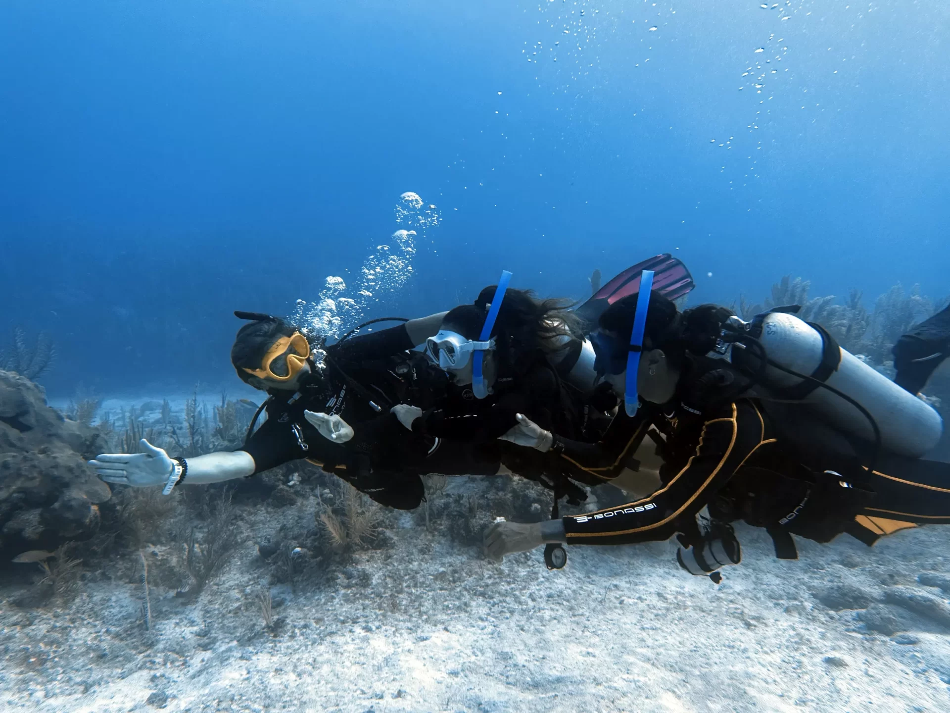 Discover Scuba Diving (cenote and reef)