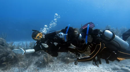 Discover Scuba Diving (cenote and reef)