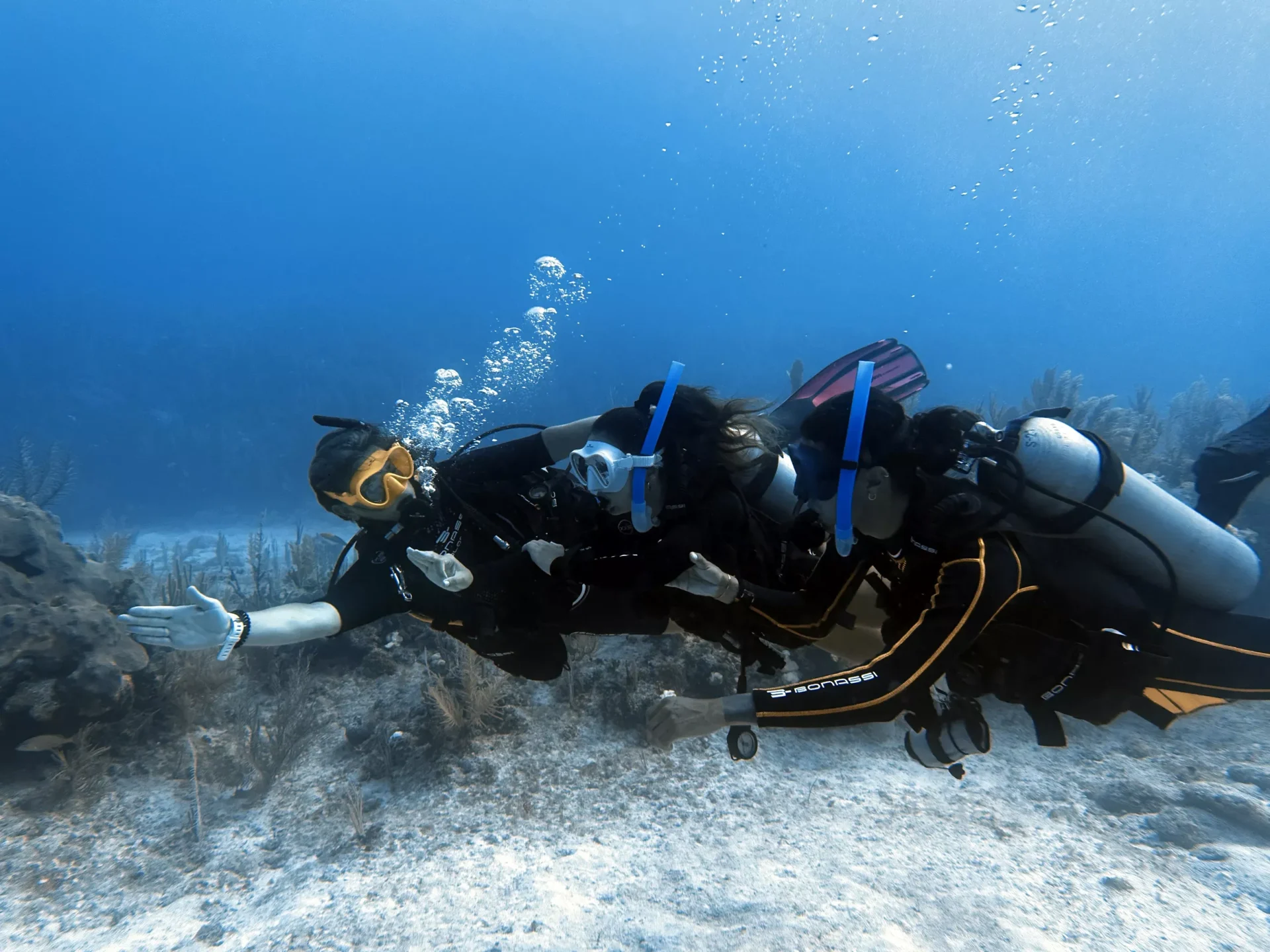 Discover Scuba Diving (cenote and reef)