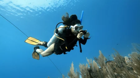 Digital Underwater Photographer