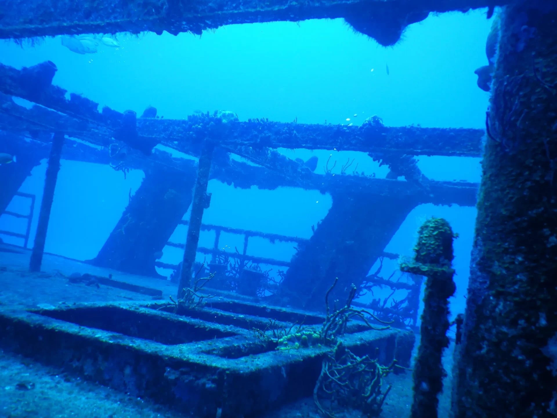 Felipe Xicotencatl C-53 Wreck & Reef Dive - Cozumel Wreck Dive