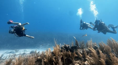 Glimpse of the Reef - 3 days dive package