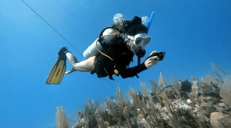 dive packages Mexico