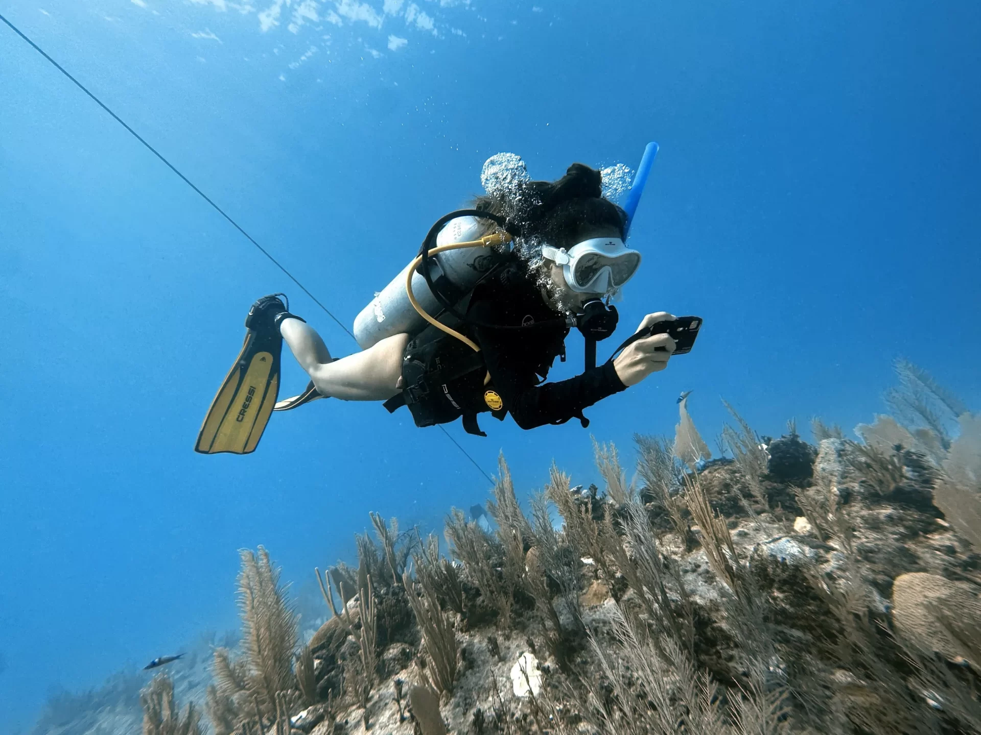 dive packages Mexico