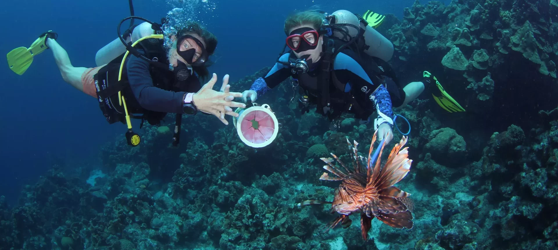 Invasive Lionfish Tracker