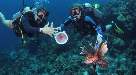 Invasive Lionfish Tracker