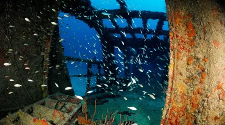 Juan Escutia C-56 Wreck & Reef Dive - Puerto Morelos Wreck dive