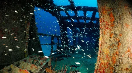 Juan Escutia C-56 Wreck & Reef Dive - Puerto Morelos Wreck dive
