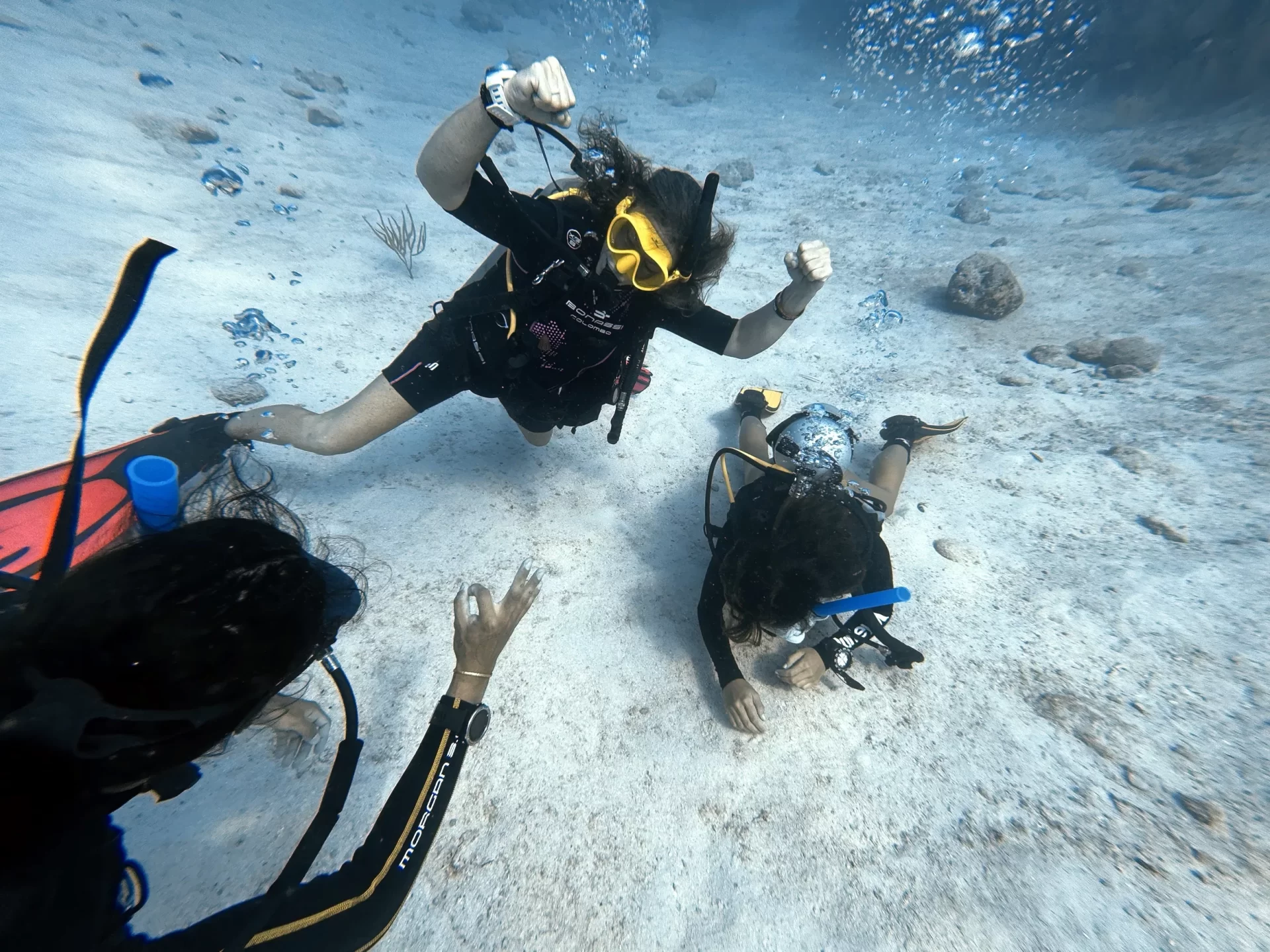 PADI Advanced Rescue and Divemaster Program