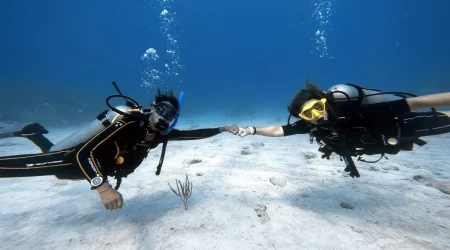 PADI Divemaster Course 1 month