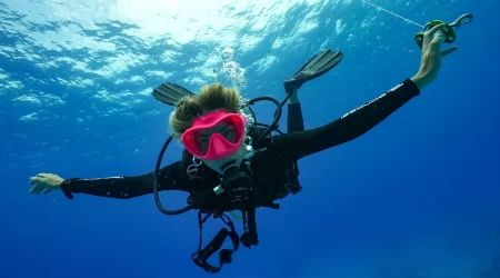 PADI Divemaster Course 2 weeks