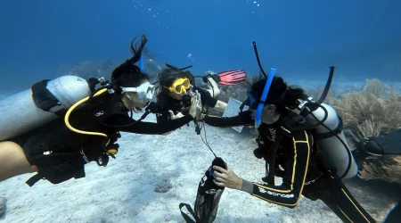 PADI MSDT Course