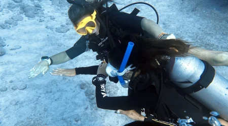 PADI Rescue and Divemaster Course