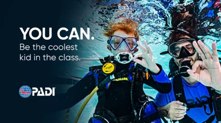 Beginner SCUBA Diving Courses