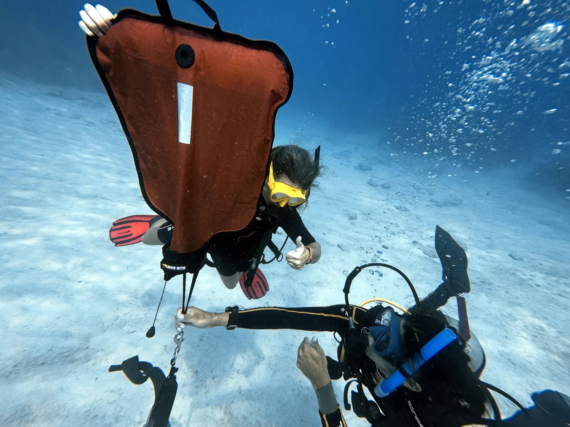 Continue Learning PADI Courses