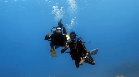 open-water-referral-4-dives
