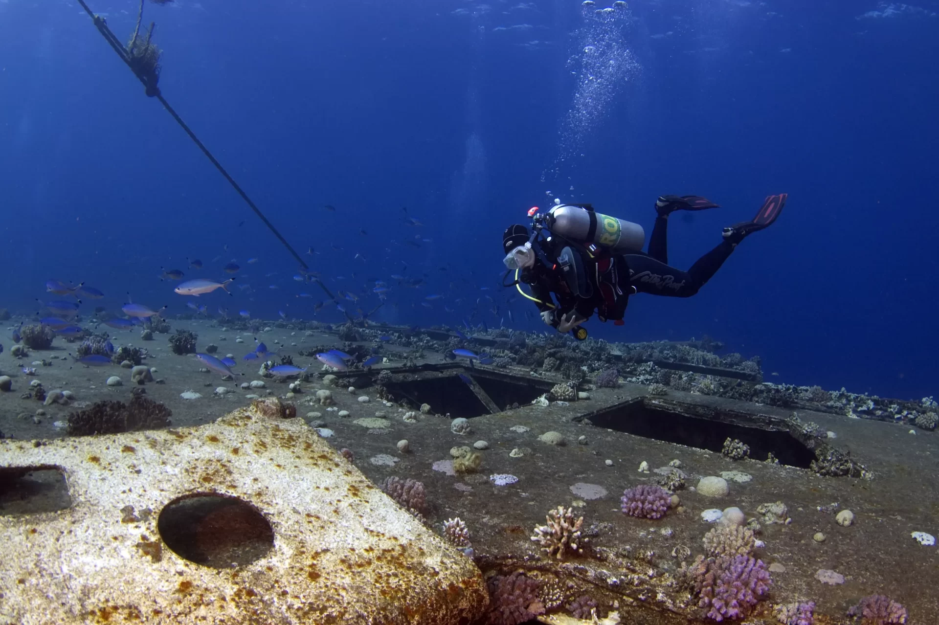 Wreck Diving